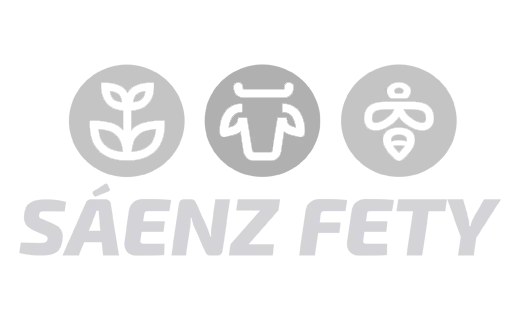 Sáenz Fety
