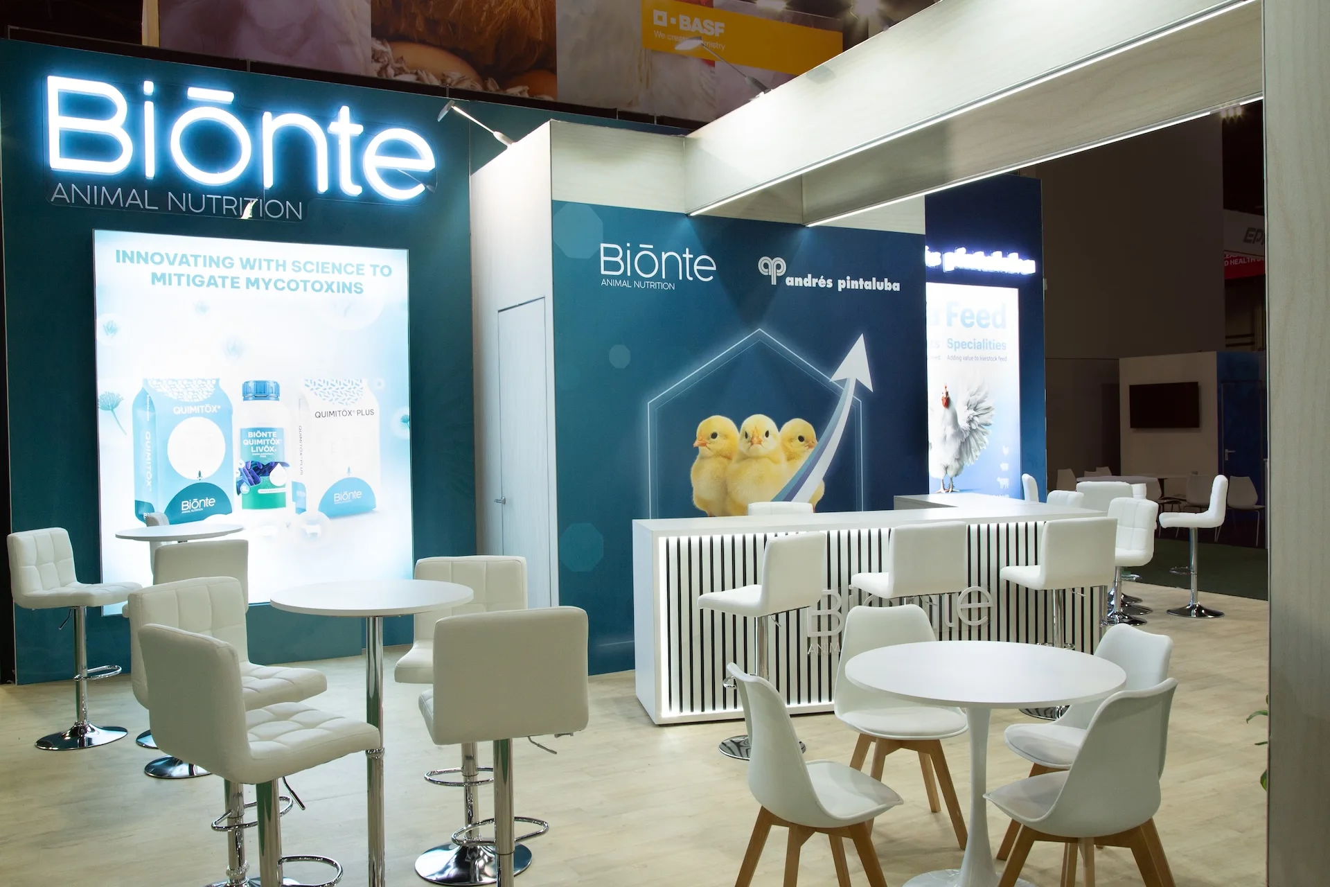 bionte-ippe-01